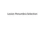 Lesion Penumbra Selection