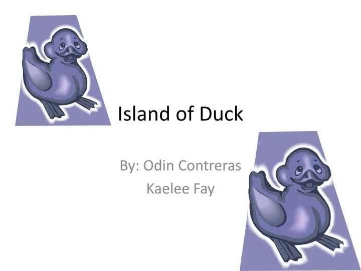 island of duck