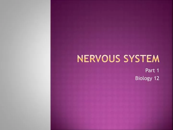 nervous system