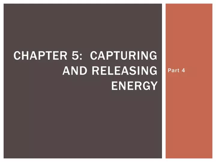 chapter 5 capturing and releasing energy