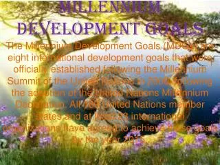 millennium development goals