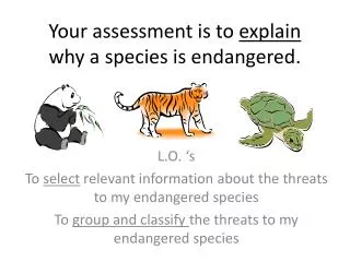 Your a ssessment is to explain why a species is endangered.