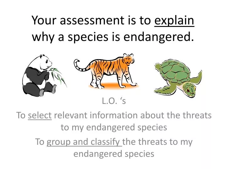 your a ssessment is to explain why a species is endangered