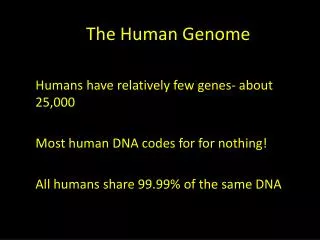 The H uman Genome