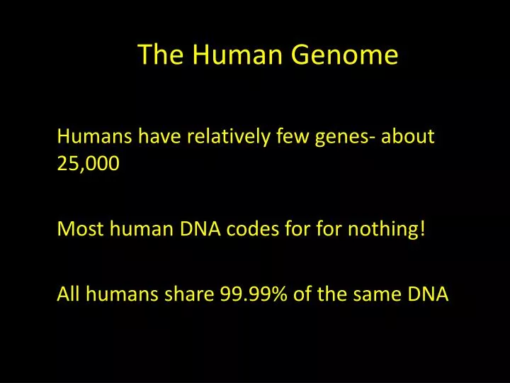 the h uman genome