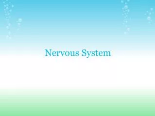 Nervous System