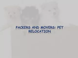 Packers and Movers: Pet relocation