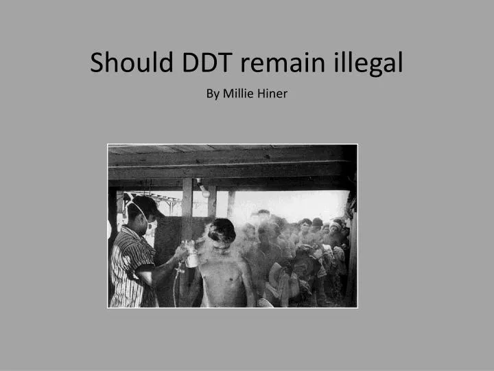 should ddt remain illegal