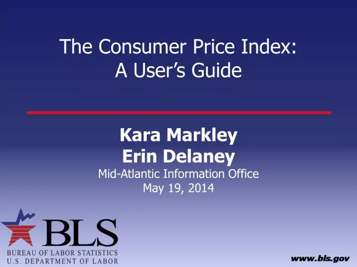 the consumer price index a user s guide