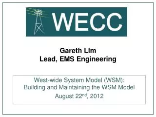 Gareth Lim Lead, EMS Engineering
