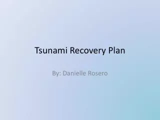 Tsunami Recovery Plan