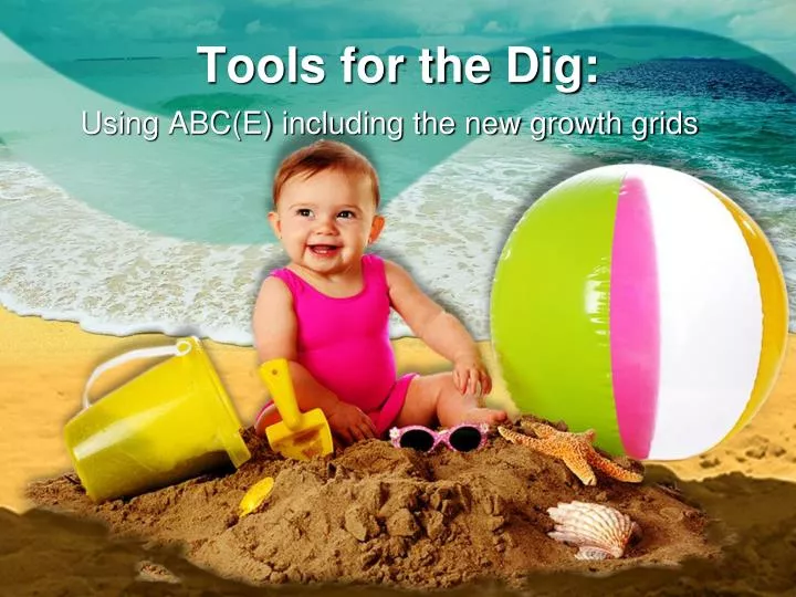 tools for the dig