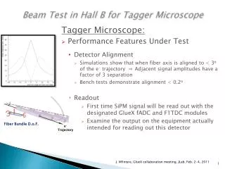 Beam Test in Hall B for Tagger Microscope