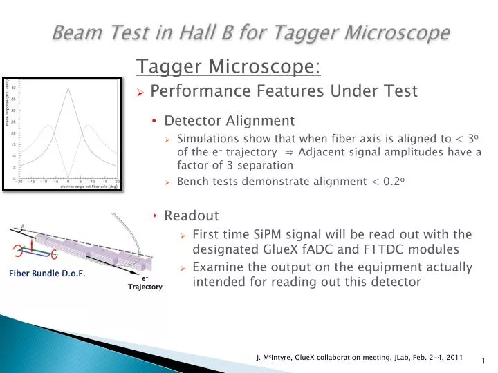 beam test in hall b for tagger microscope