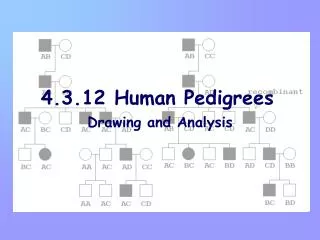 4.3.12 Human Pedigrees
