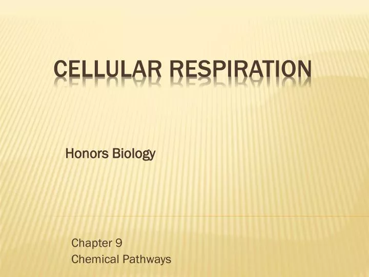 chapter 9 chemical pathways