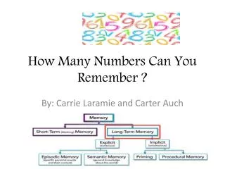 How Many Numbers Can You Remember ?