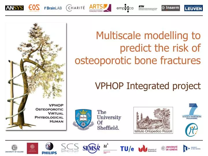 m ultiscale modelling to predict the risk of osteoporotic bone fractures