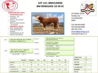 LOT 121: BMH120036 BM RENEGADE 10-30 SC