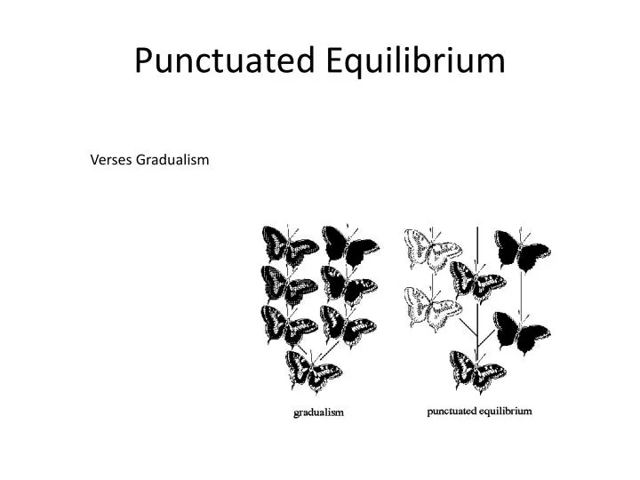 punctuated equilibrium