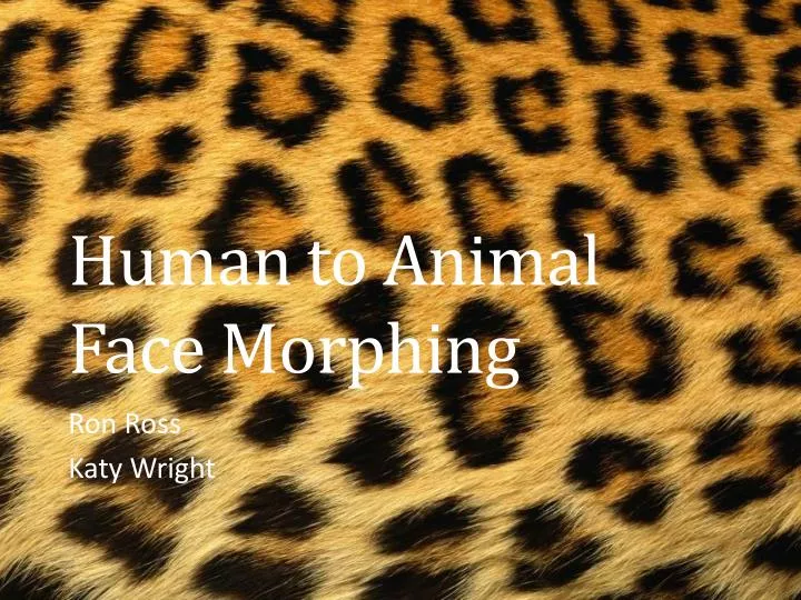 human to animal face morphing