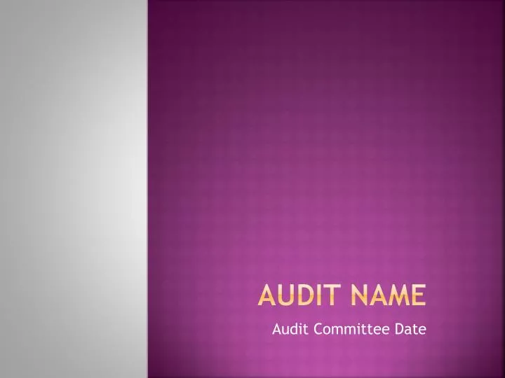 audit name