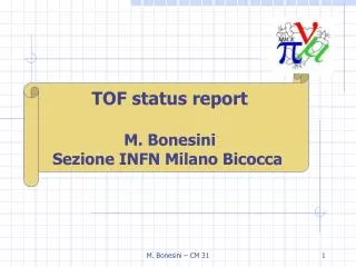 TOF status report M. Bonesini Sezione INFN Milano Bicocca
