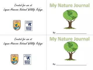 my nature journal