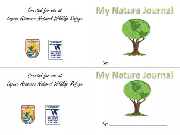 my nature journal