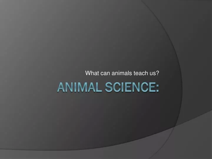 what can animals teach us