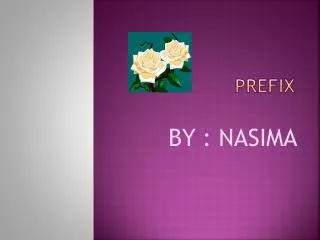 prefix