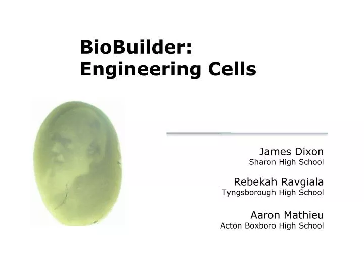 biobuilder engineering cells