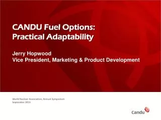 CANDU Fuel Options: Practical Adaptability