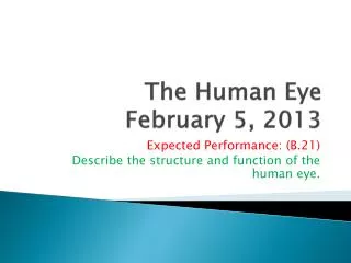 The Human Eye February 5, 2013