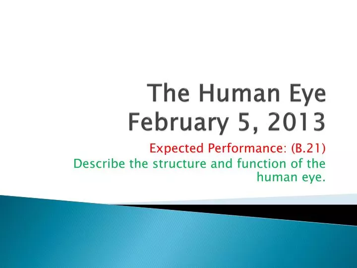 the human eye february 5 2013