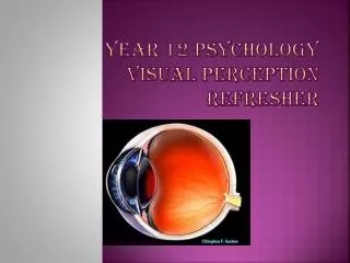 Year 12 Psychology Visual Perception Refresher