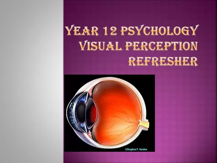 year 12 psychology visual perception refresher