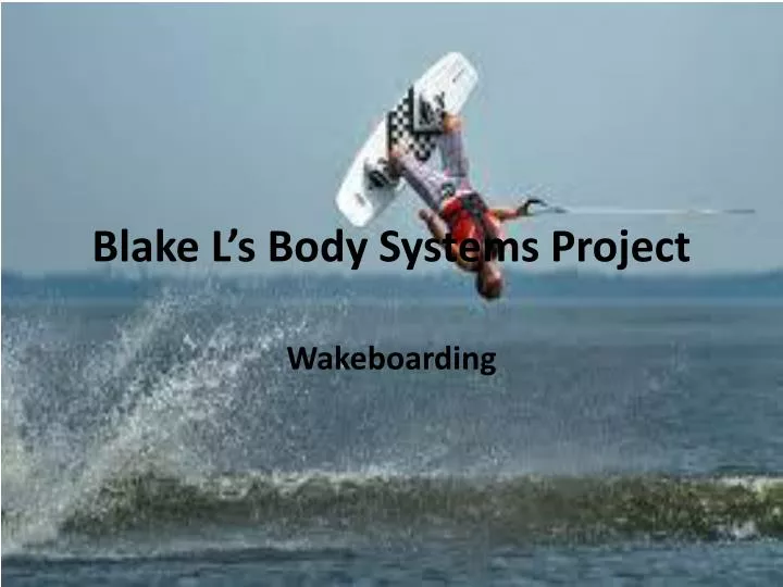 blake l s body systems project