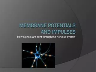 Membrane Potentials and Impulses