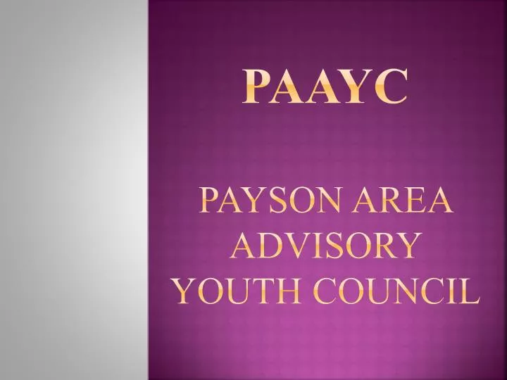 paayc payson area advisory youth council