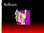Reflexes - slide 1