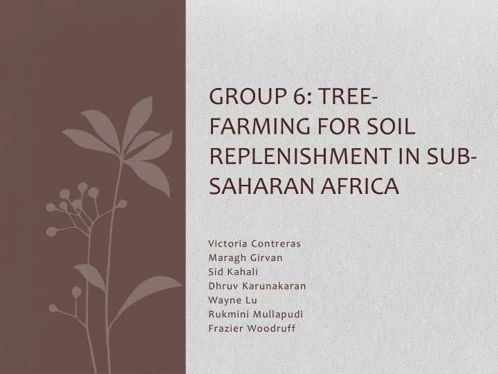 group 6 tree farming for soil replenishment in sub saharan africa