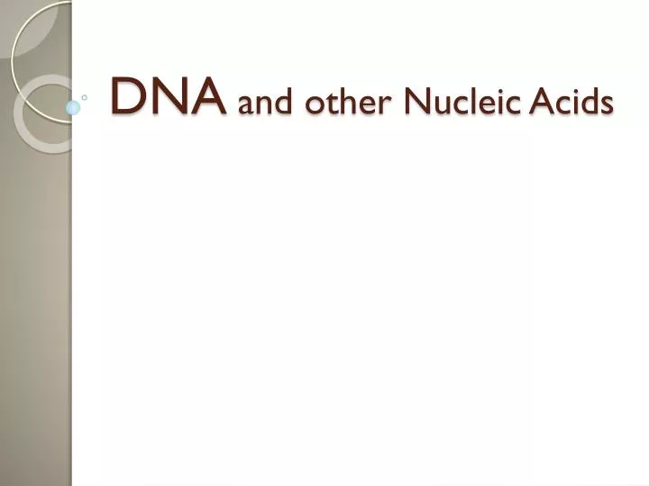 dna and other nucleic acids