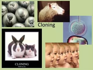 Cloning