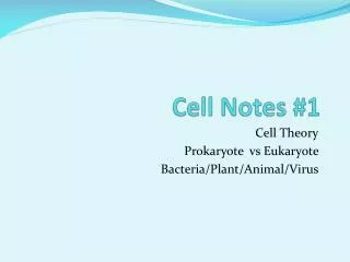 Cell Notes #1