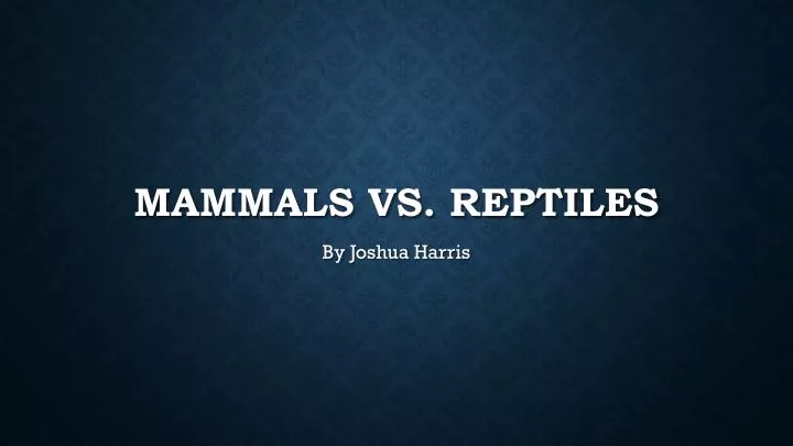 mammals vs reptiles