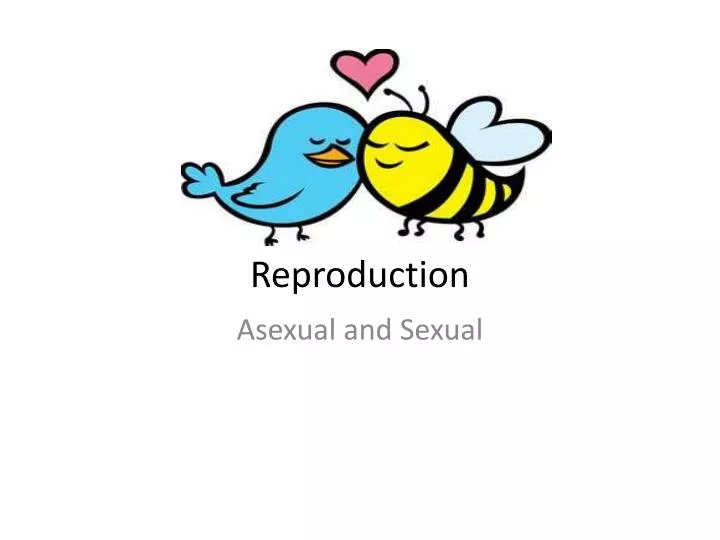 reproduction