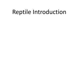 Reptile Introduction