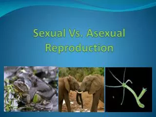 Sexual Vs. Asexual Reproduction