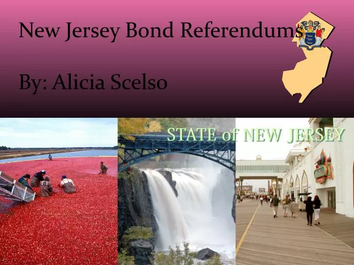 new jersey bond referendums by alicia scelso